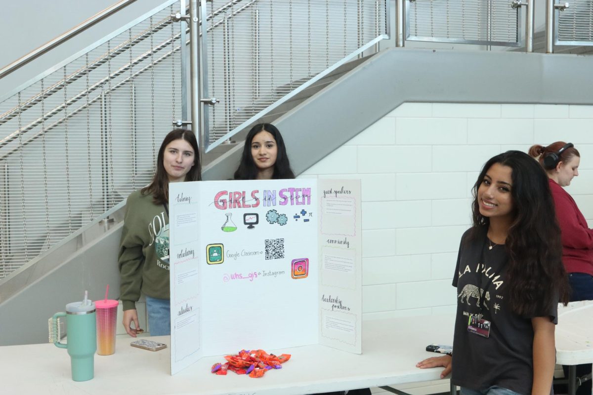 The Support For Girls in STEM