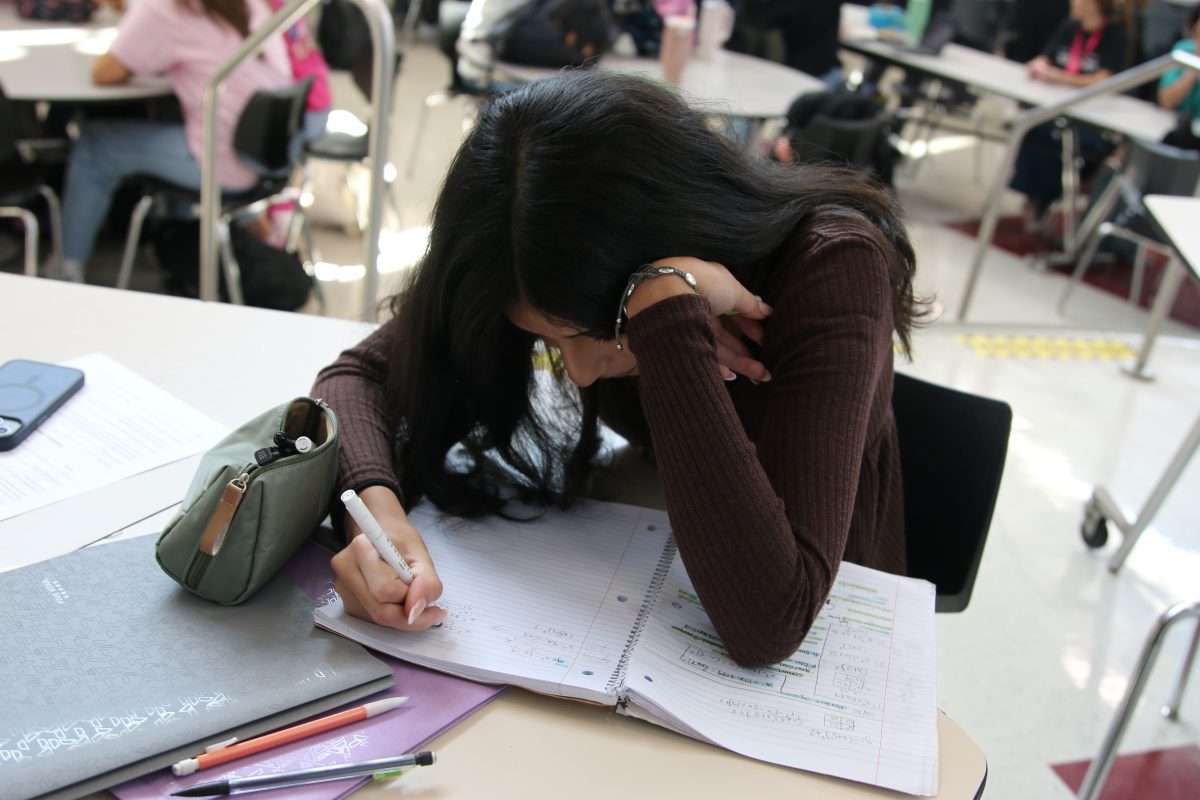 Andrea Betancourth (10) studying 