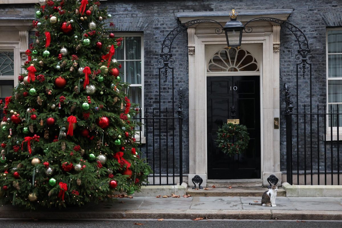 Larry the cat sits next to the Christmas tree outside 10 Downing Street, on the day of a Coalition of the Willing meeting, in London, Britain, December 8, 2025. REUTERS/Toby Melville