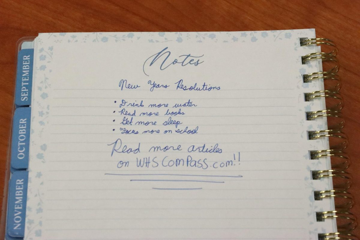 2026 New Years resolutions