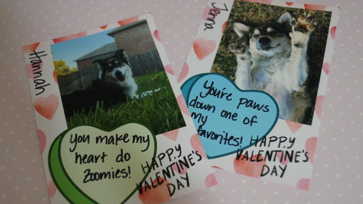 Valentine's Day gifts: what's their importance?